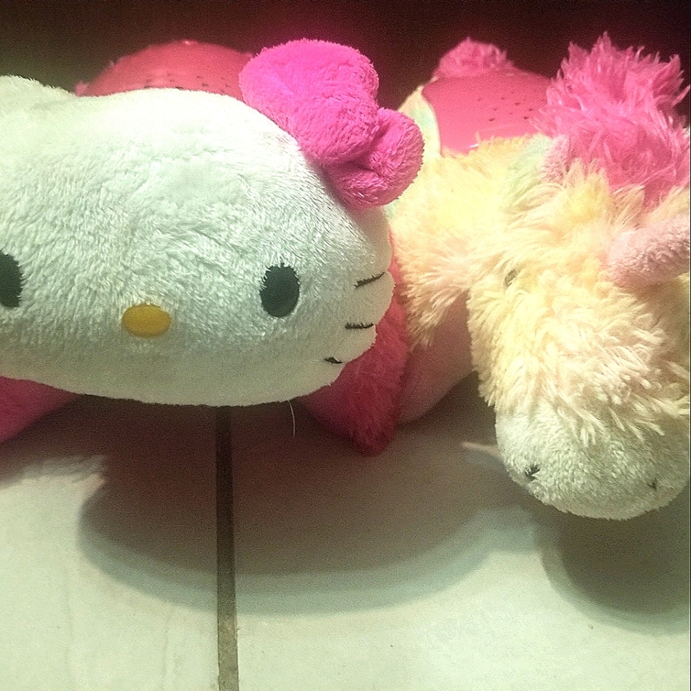 2 pillow pets lot